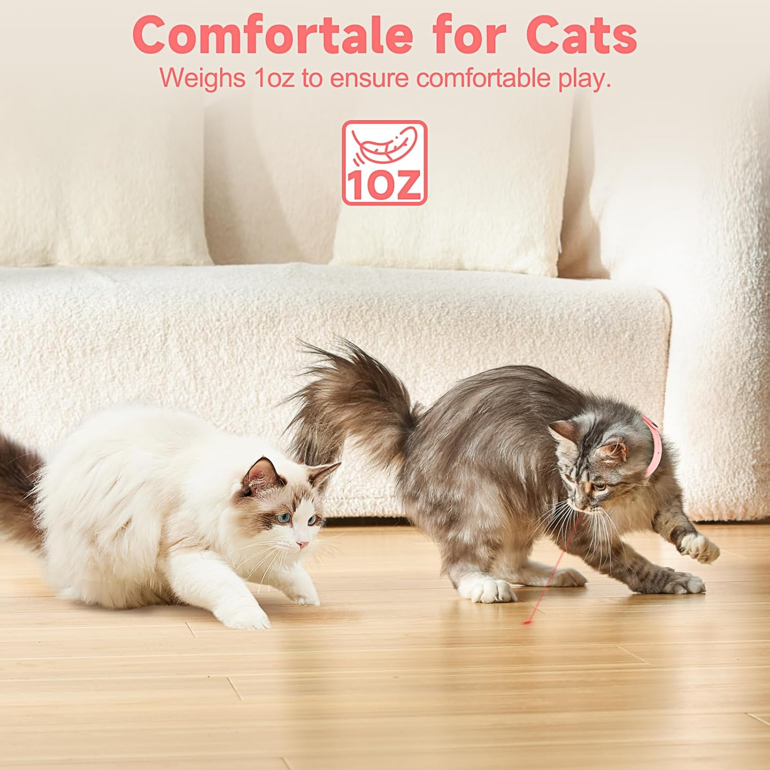 Cat Toys With LED Lights