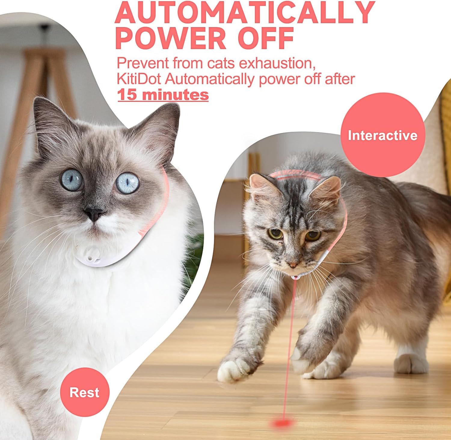 Cat Toys With LED Lights