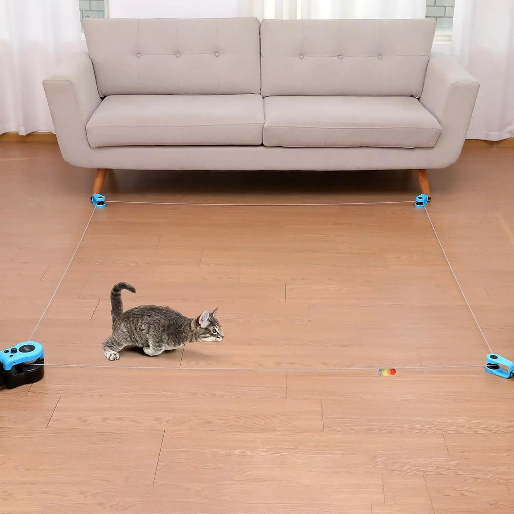 Interactive cat and dog chase toy, USB charging automatic bait, used for pet exercise and training, durable plastic material